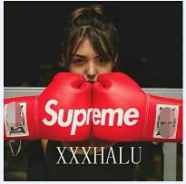 Supreme Boxing Gloves