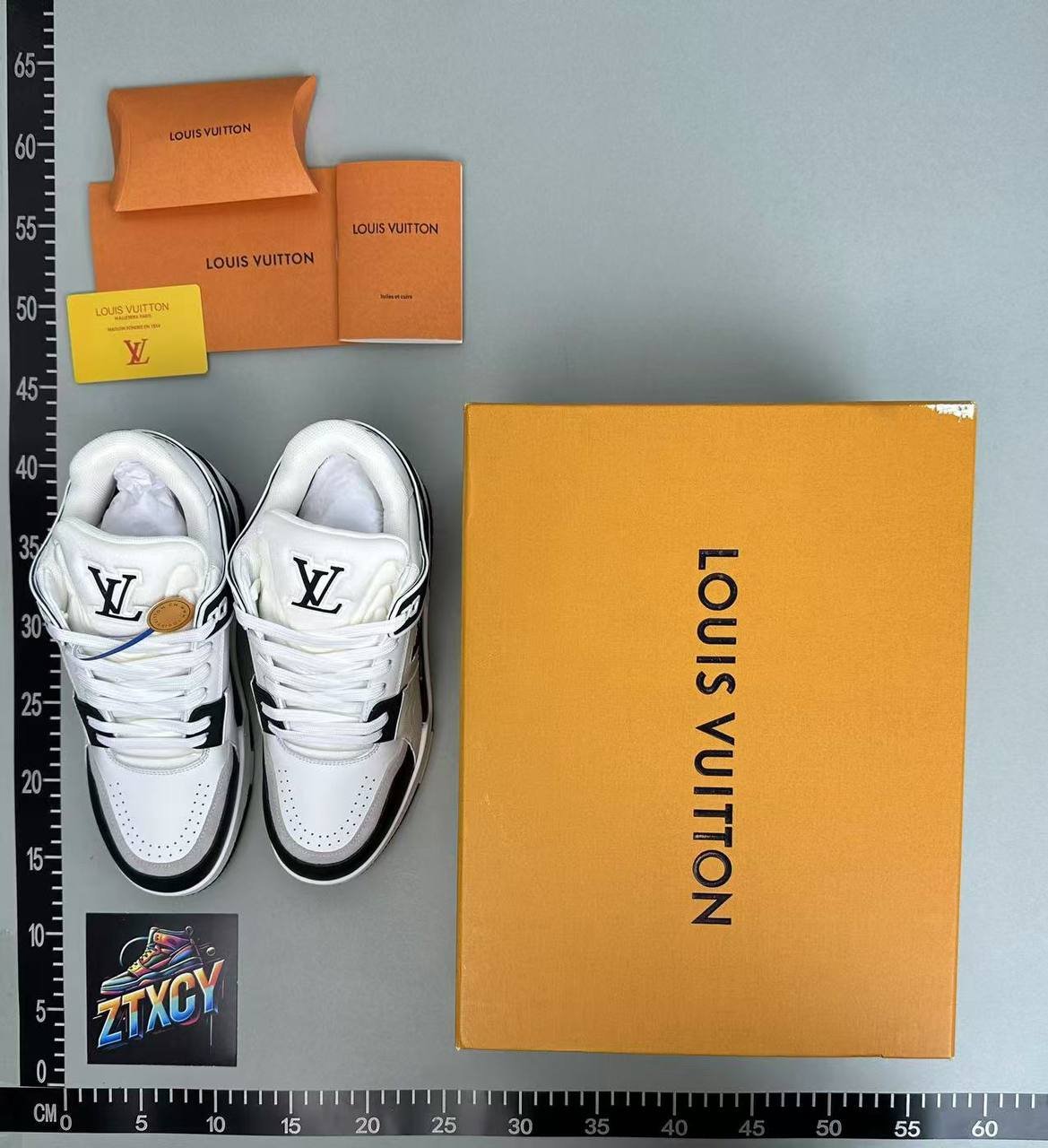  LV Trainer