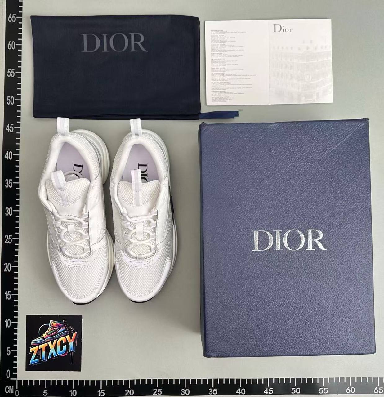 dior b22