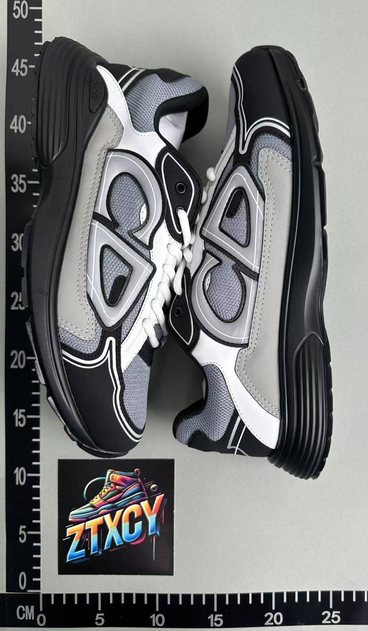 DIOR B30 