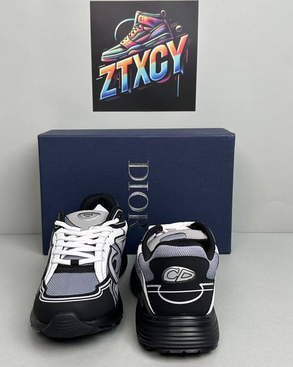 DIOR B30 