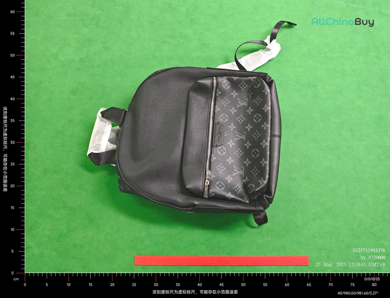 LV Backpack