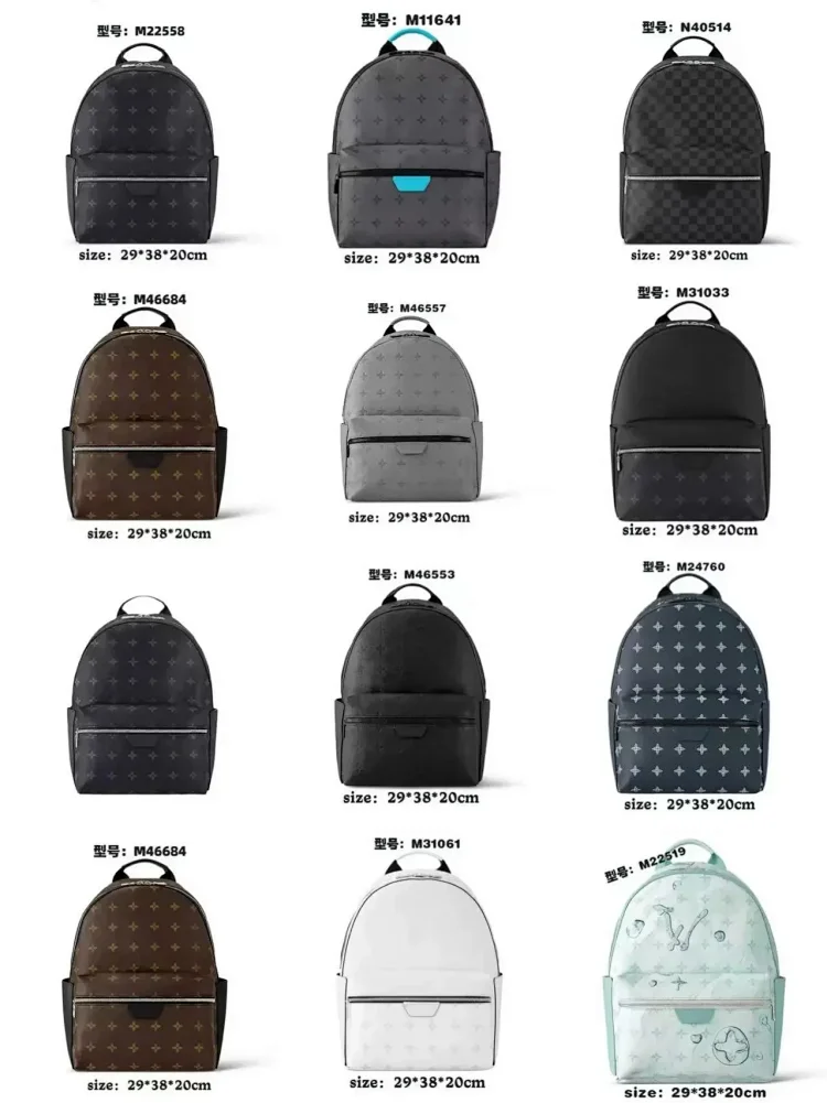 LV Backpack