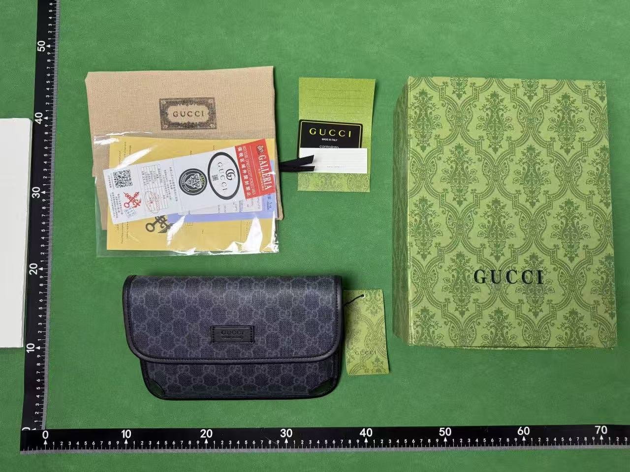 Gucci Old Fanny pack and chest bag