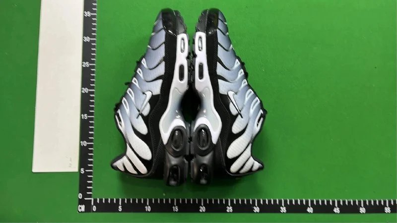 Nike Air Max Plus TN Shoe 