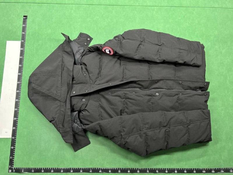 Canada Goose Down