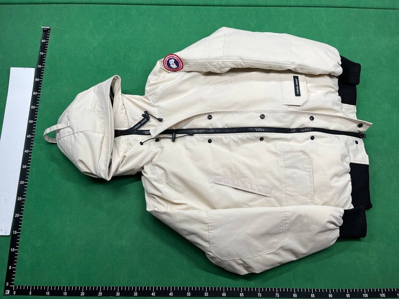 Canada Goose Down