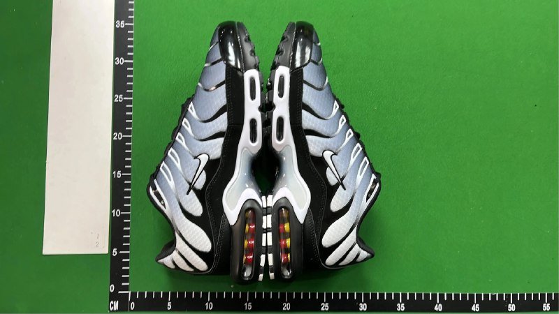 Nike Air Max Plus Tn 