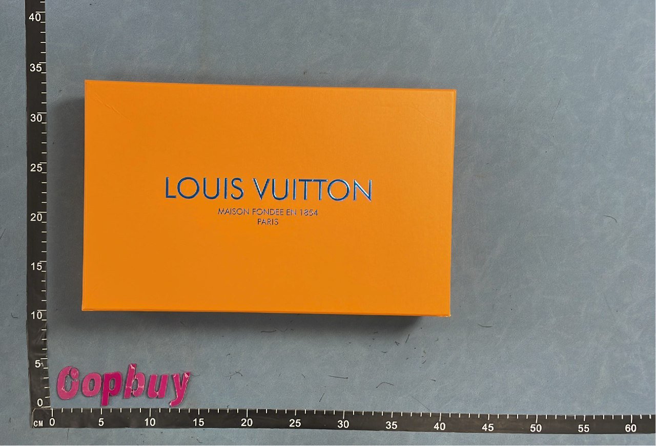  Louis Vuitton Monogram Shawl Scarf with Tassels [2 styles]