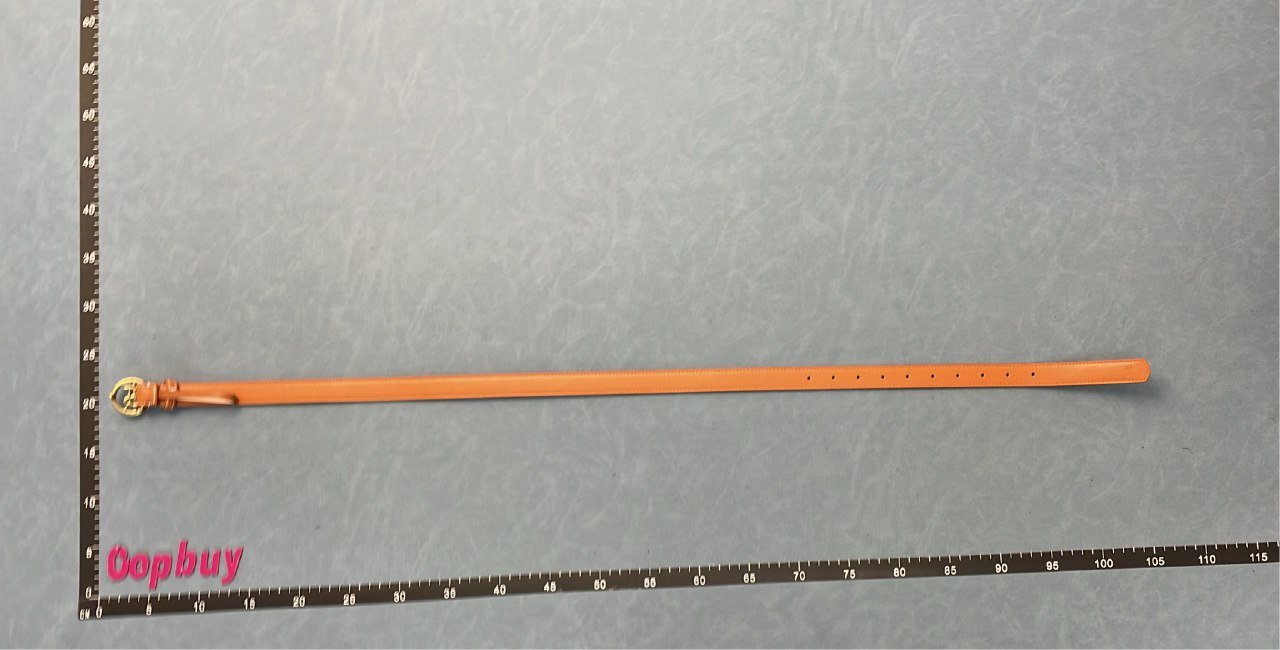 YSL Classic Leather Belt with Double Ring Buckle [8 styles]