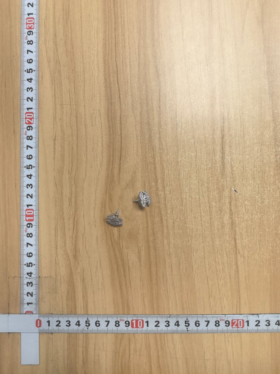 Chanel CC Logo Earrings [40 styles]