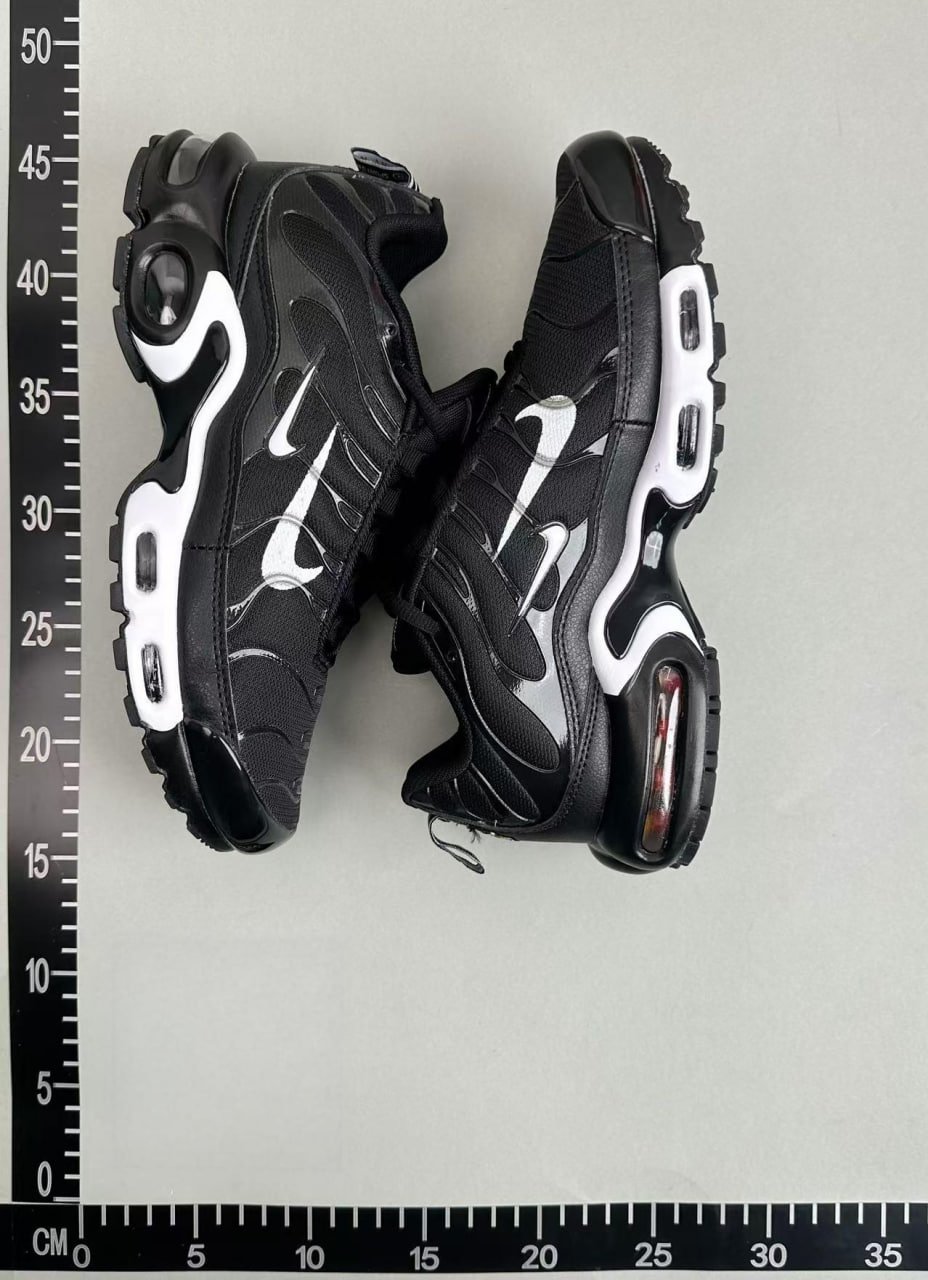Nike Air Max Plus                                