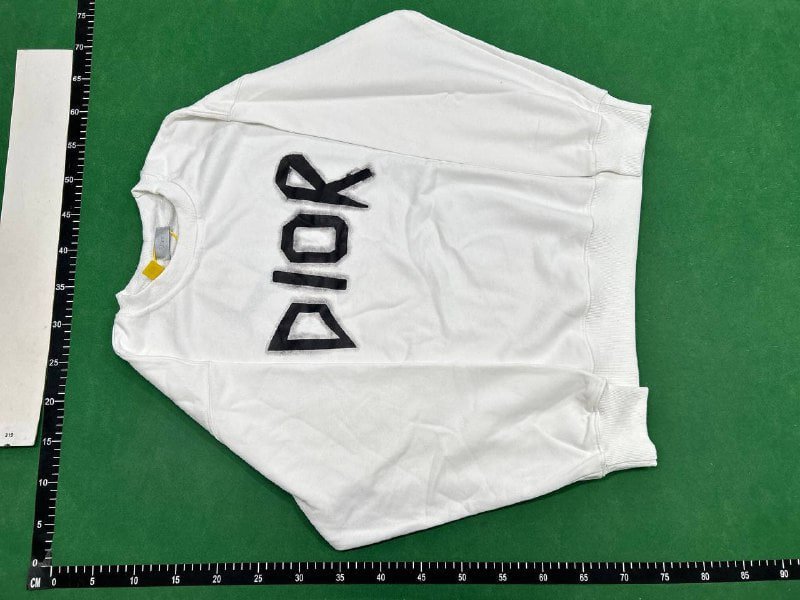 Dior hoodie