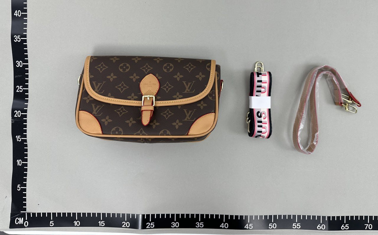 Louis Vuitton Bag                                
