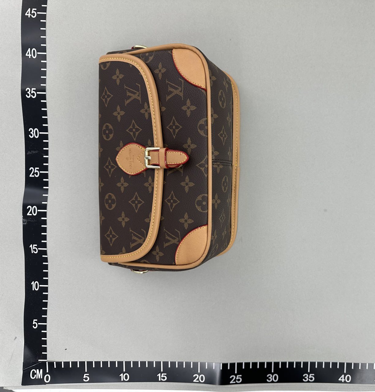 Louis Vuitton Bag                                