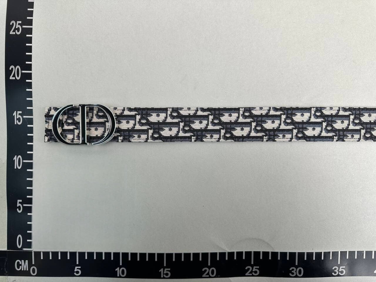 Dior Belt                                